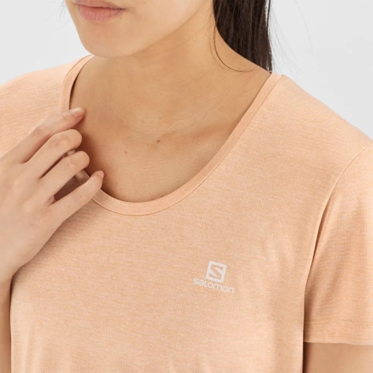 Apricot Salomon Agile Short Sleeve Women's T-Shirts | PH 26839G